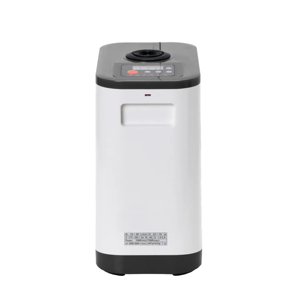 Acasă 1 (0,75 kW, 230 V) pompă cu invertor