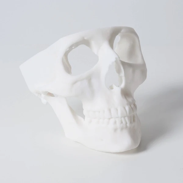 Rășă Formlabs White Resin V4 (Form 3) 1 L RS-F2-GPWH-04