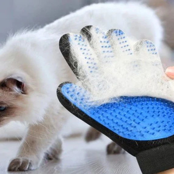 Manusi par animale