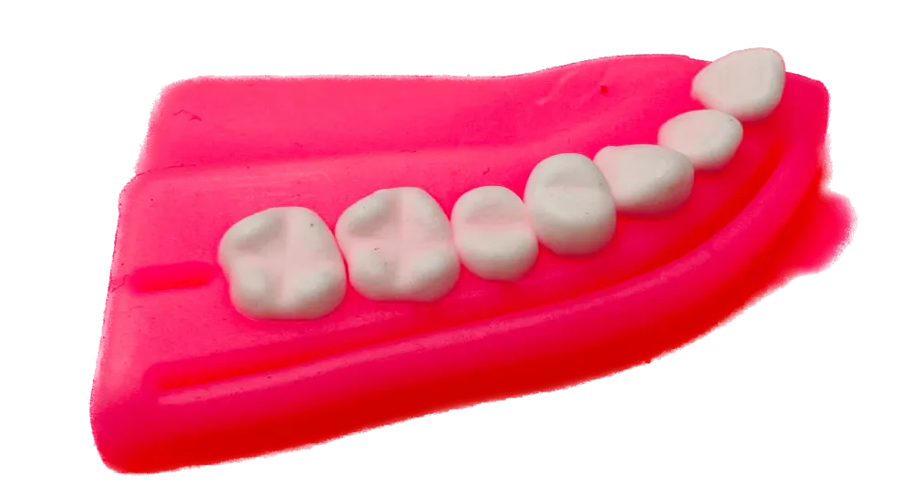 Mulaj sutura dentara cu dinti albi, din silicon, Suture Expert