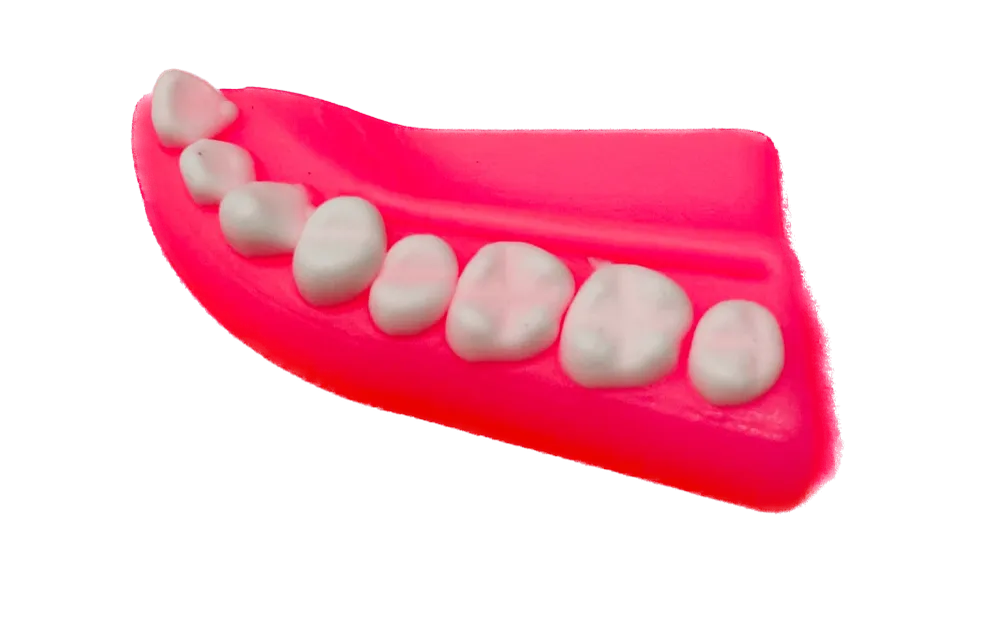 Mulaj sutura dentara cu dinti albi, din silicon, Suture Expert