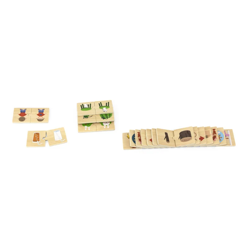 Puzzle sortator Antonime, VIGA