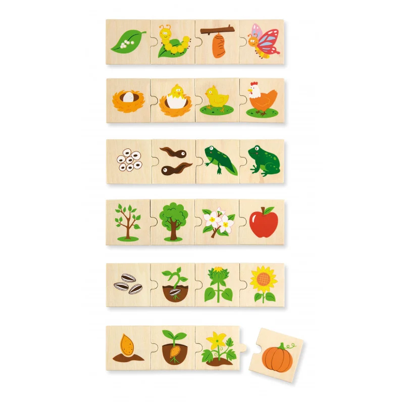Puzzle sortator - Evolutie, Viga
