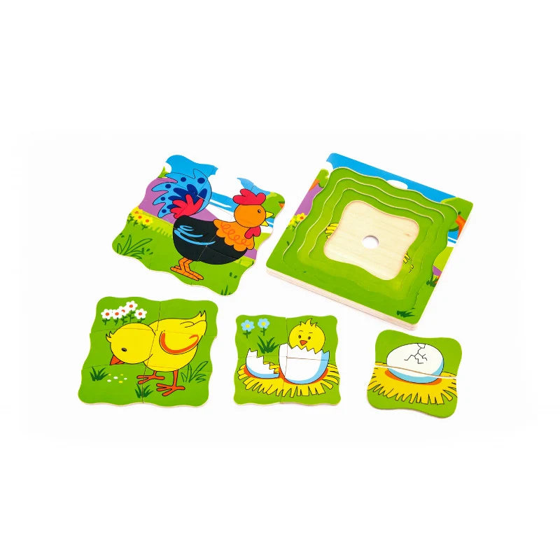 Puzzle straturi Evolutie cocos, Viga