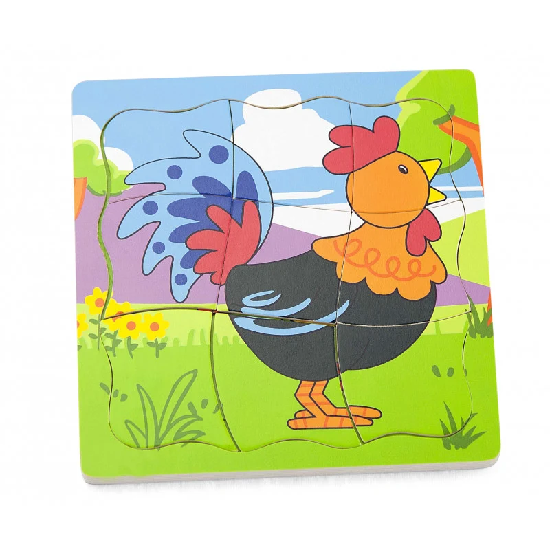 Puzzle straturi Evolutie cocos, Viga