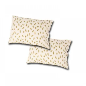 Set 2 perne din puf si pene de gasca cu invelis din bumbac 50x70